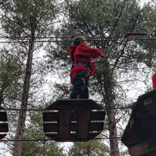 Go Ape