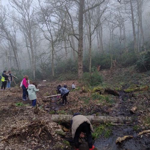 Join us at our Forest school in Chatsworth