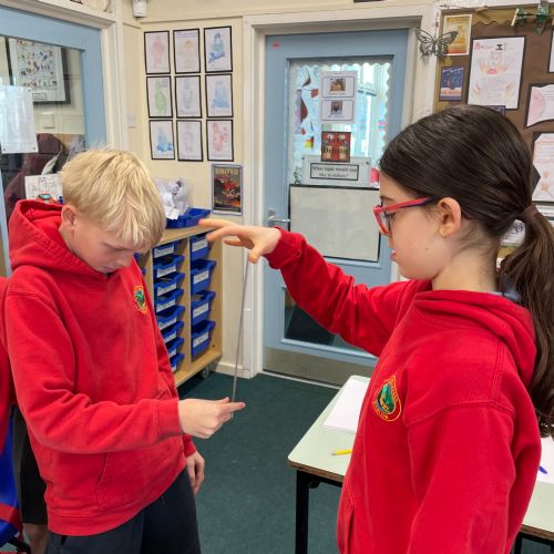 Science Week- Rapid Reactions