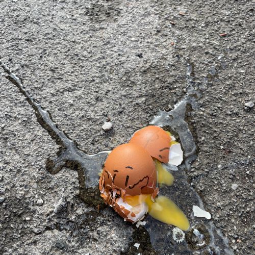 Science Week- Egg Drop